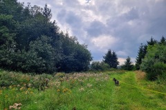 original_d9f8ac02-67df-4c5a-bbee-abe97f378e12_20230829_164324