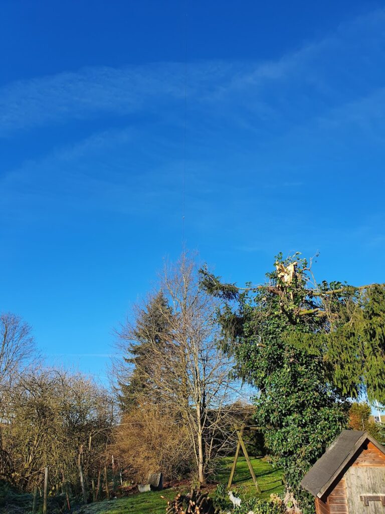 City Windom in den Bäumen