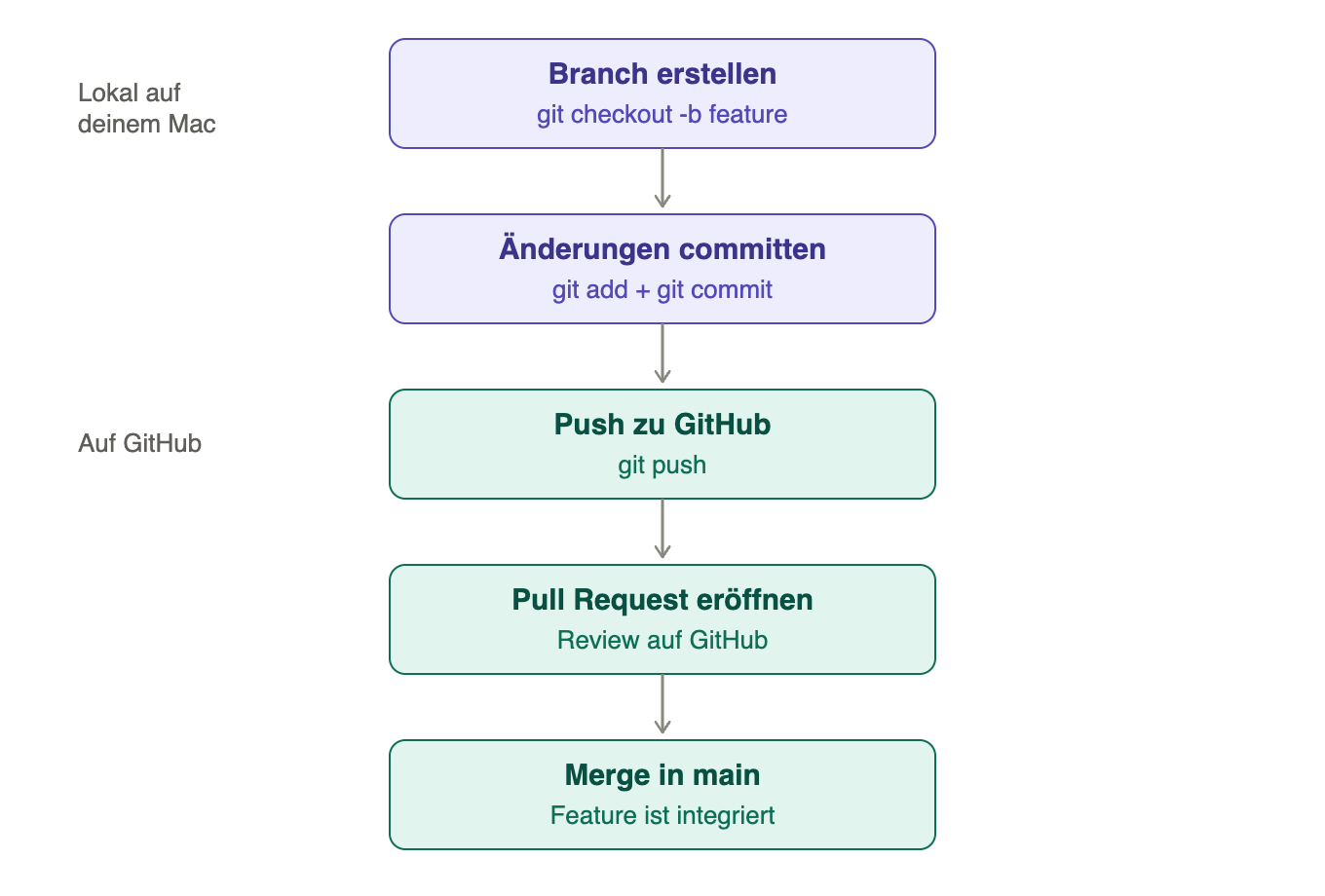 Git-Workflow: Vom Branch bis zum Merge in main